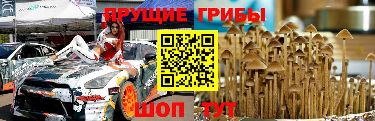 Галлюциногенные грибы Magic Shrooms Мелеуз