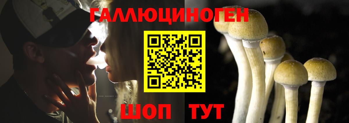 Псилоцибиновые грибы GOLDEN TEACHER  Вход с VPN  Псилоцибиновые грибы MAGIC MUSHROOMS  Мелеуз 
